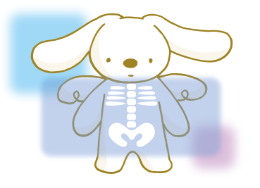 骨はからだの根っこです