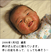 2006年1月5日撮影