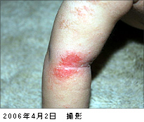 2006年4月2日撮影