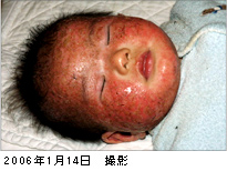 2006年1月14日撮影