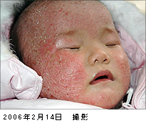 2006年2月14日撮影