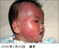 2006年2月26日撮影